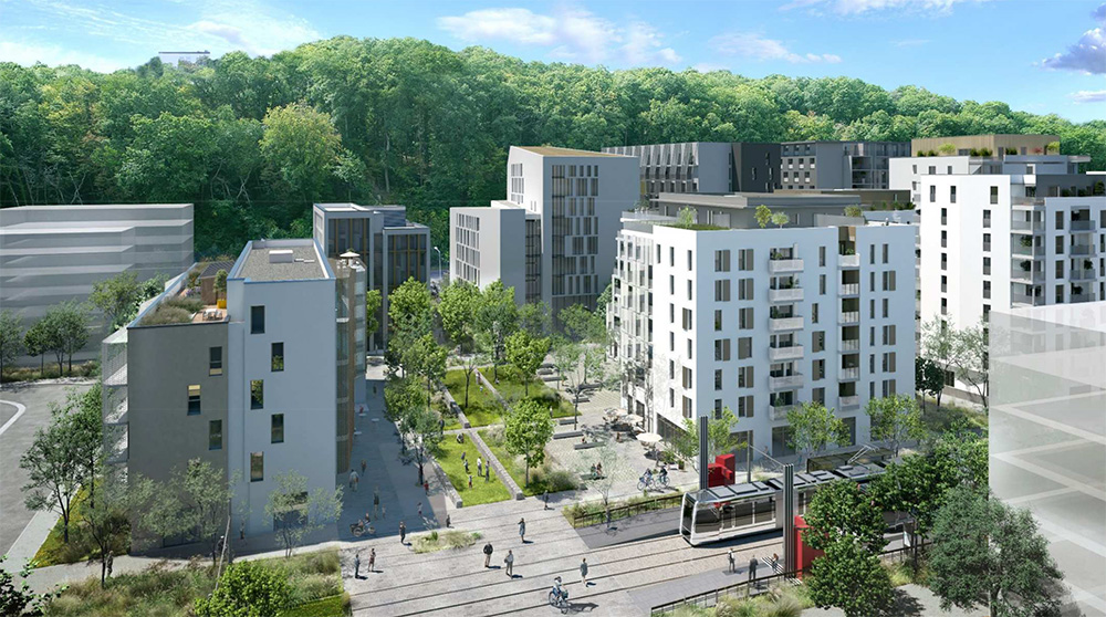 Réf. rive-sud - Chrysalides