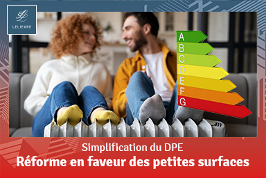 Réforme du DPE pour les petites surfaces