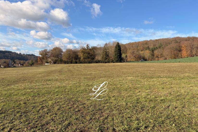 Réf. PLUMIERES - Le Domaine des Lumières