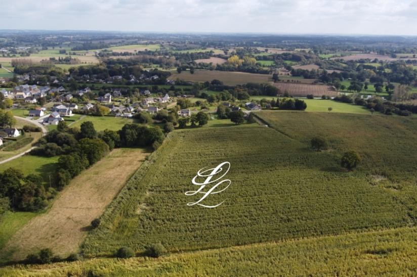 Réf. PARBORIA - Arboria