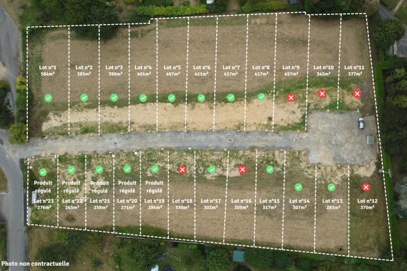 Réf.  - Florescence