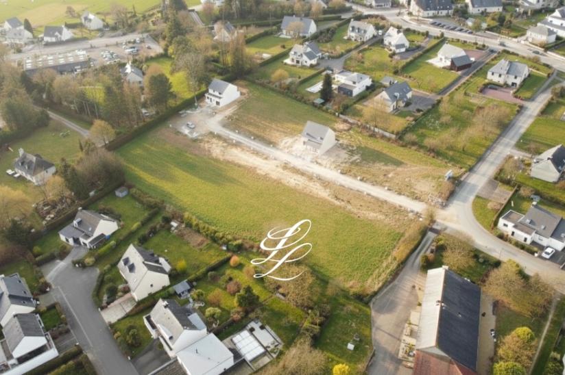 Réf. PFLORESCEN - Florescence