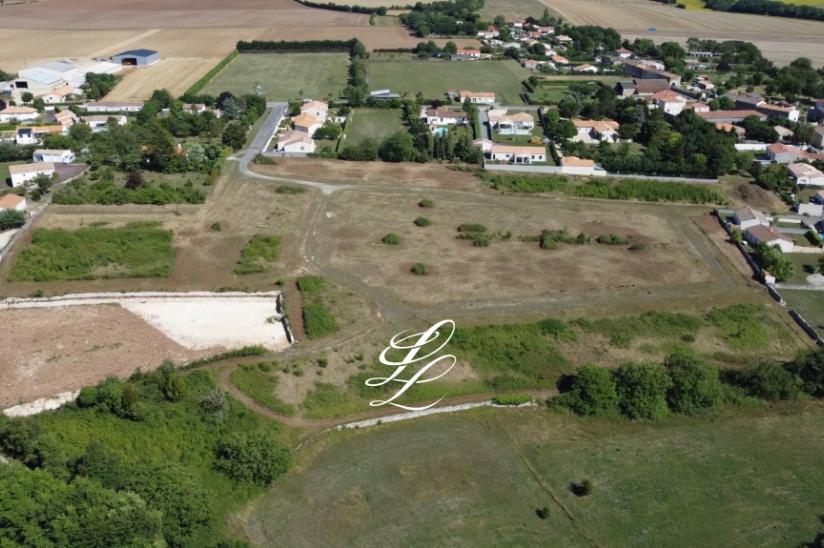 Réf. PJARDINSBO - Terra Verde