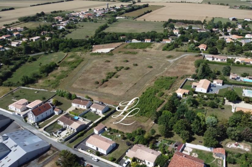 Réf. PJARDINSBO - Terra Verde