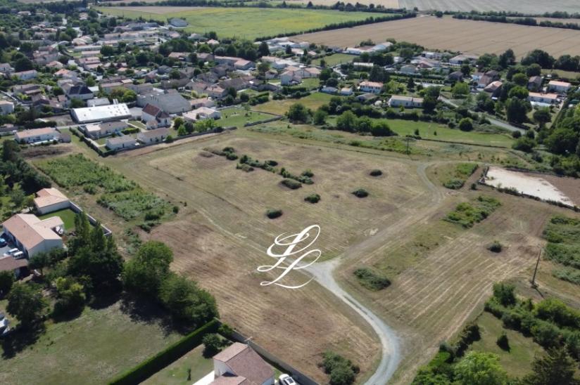 Réf. PJARDINSBO - Terra Verde