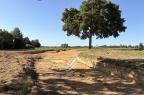 Réf. PARBORIA - Arboria
