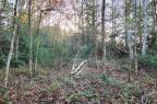 Vente - Terrain