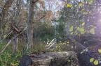 Vente - Terrain