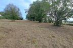 Vente - Terrain