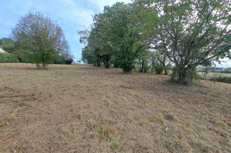 Vente - Terrain