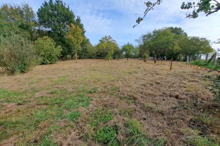 Vente - Terrain