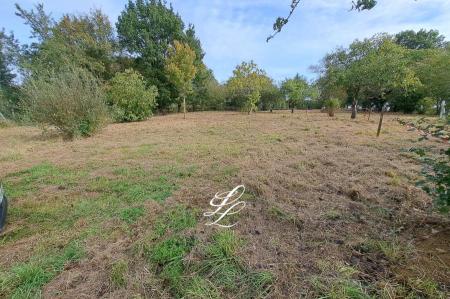 Vente - Terrain