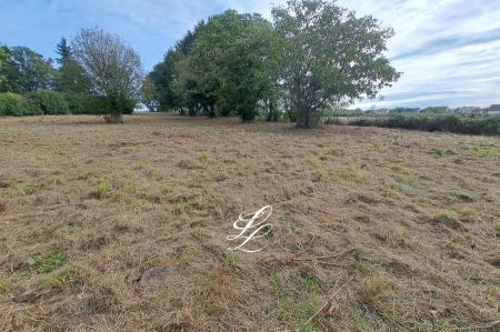 Vente - Terrain