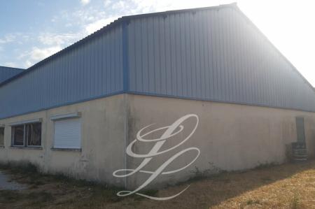 Location - LOCAL D'ACTIVITE 250 m<sup>2</sup>