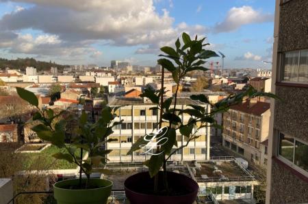 Vente - Appartement 2 pièces 55 m<sup>2</sup>