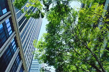 CONSTRUIRE VOTRE STRATEGIE IMMOBILIERE