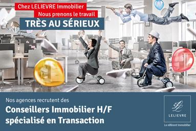 Conseiller Immobilier H/F spécialisé en Transaction - Sablé-sur-Sarthe (72)