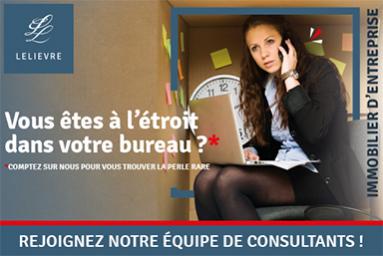 offre emploi consultant lelievre immobilier entreprise angers